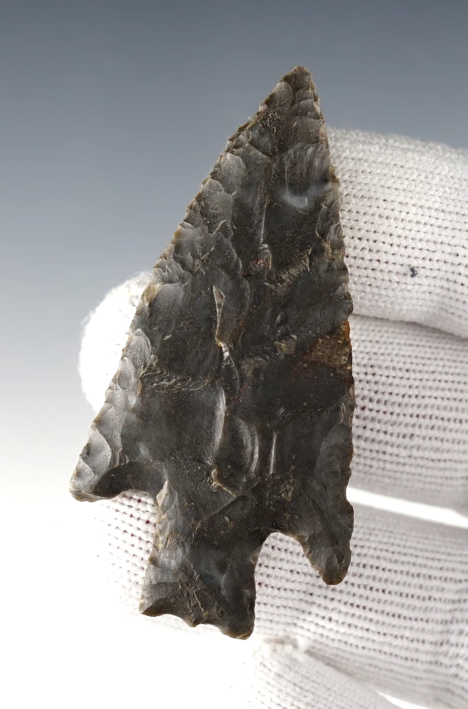 Main artifact image