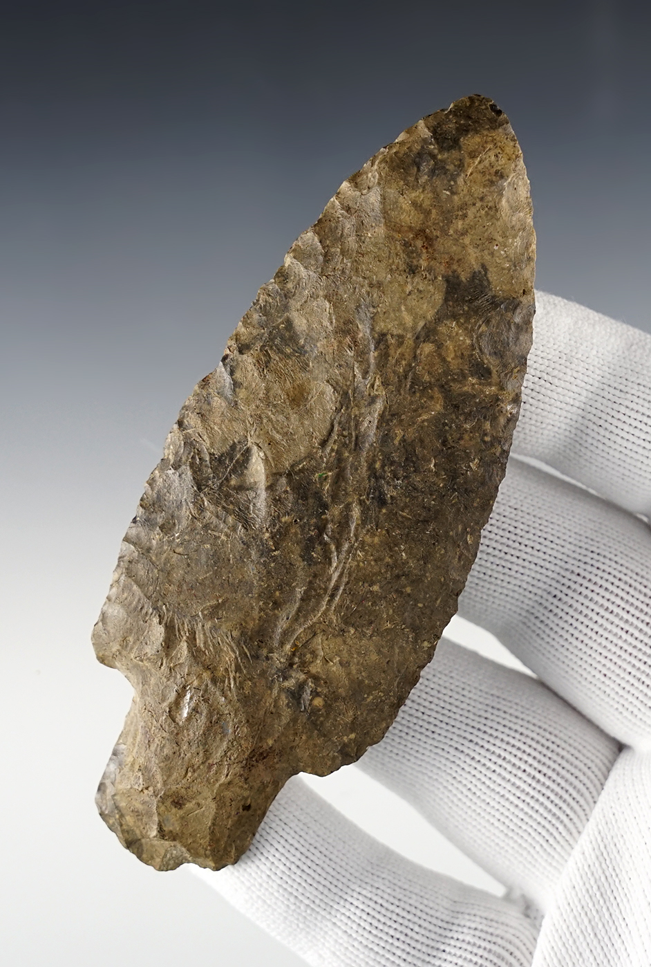Main artifact image