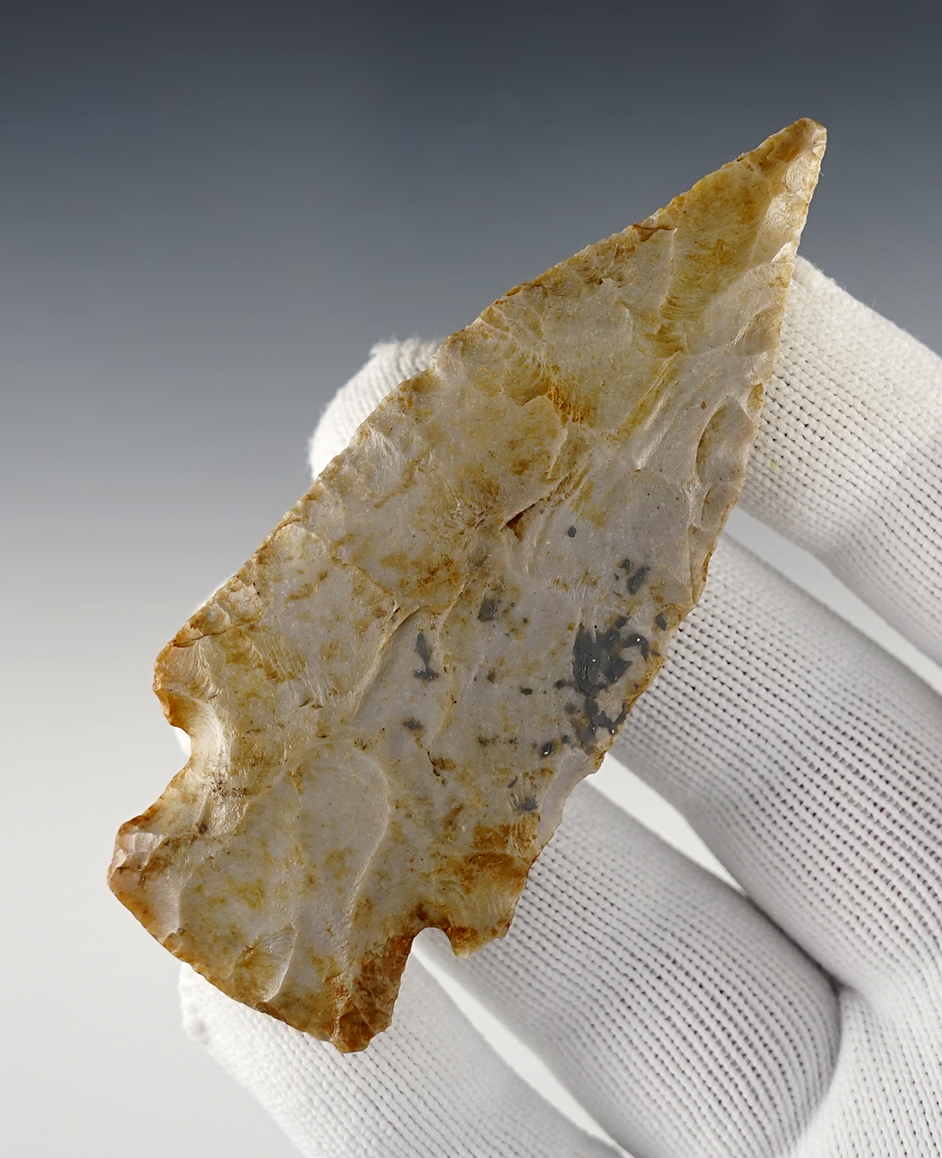 Main artifact image