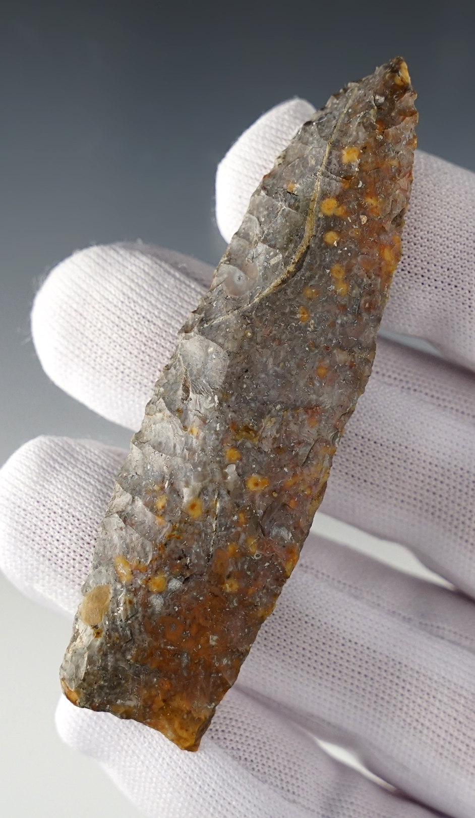 Main artifact image