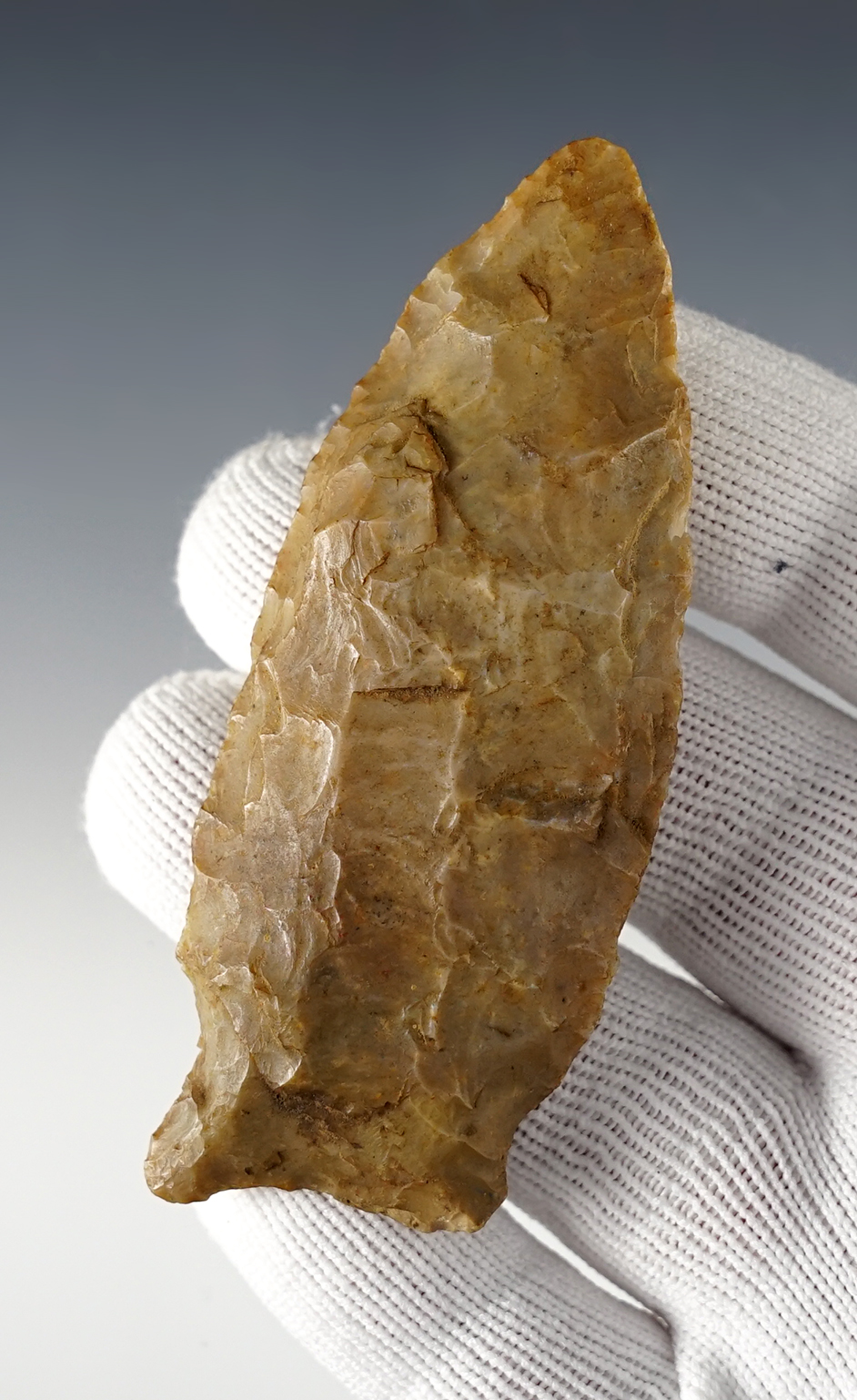 Main artifact image