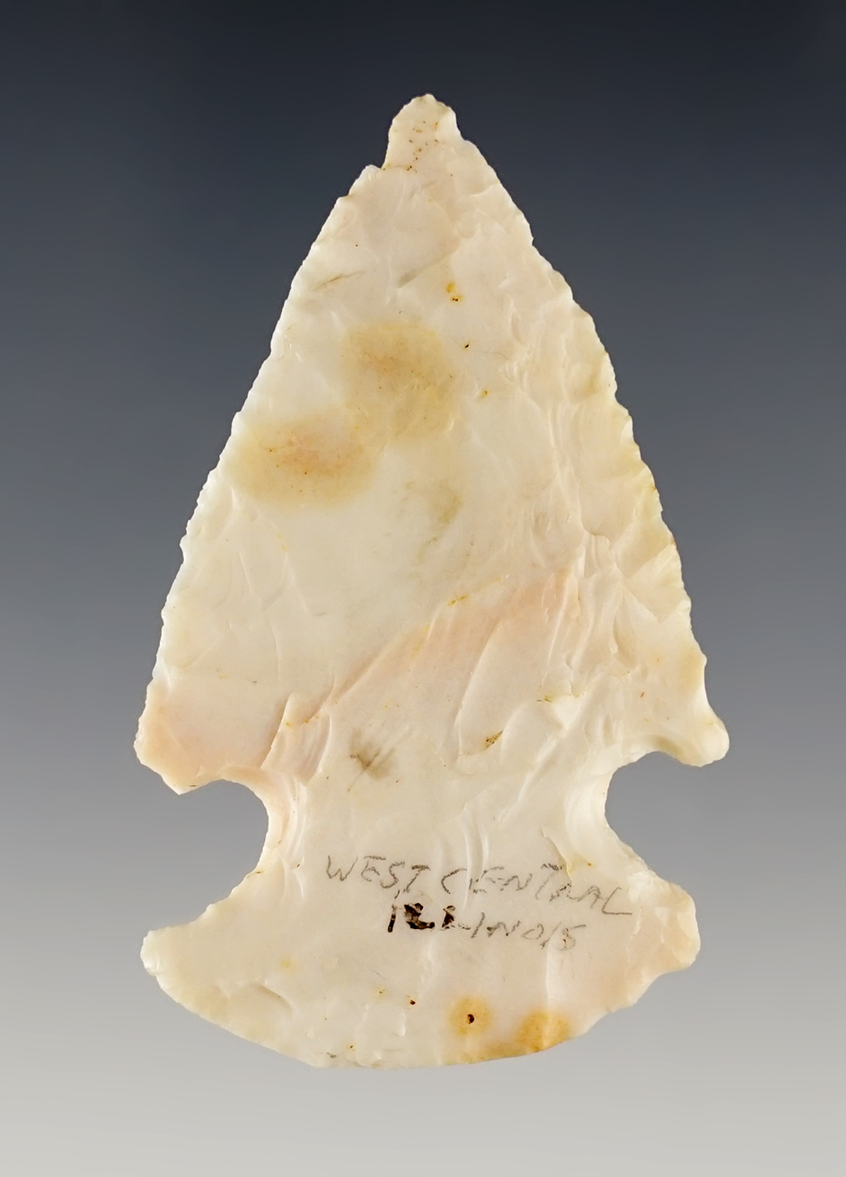 Main artifact image