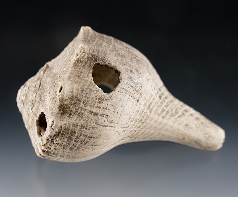 Main artifact image