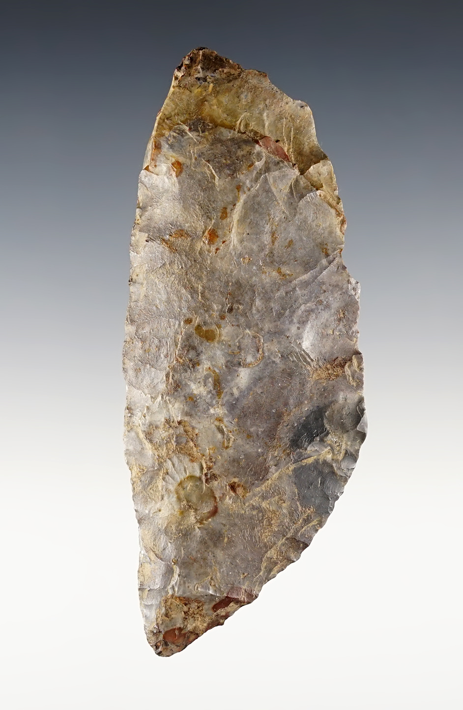 Main artifact image