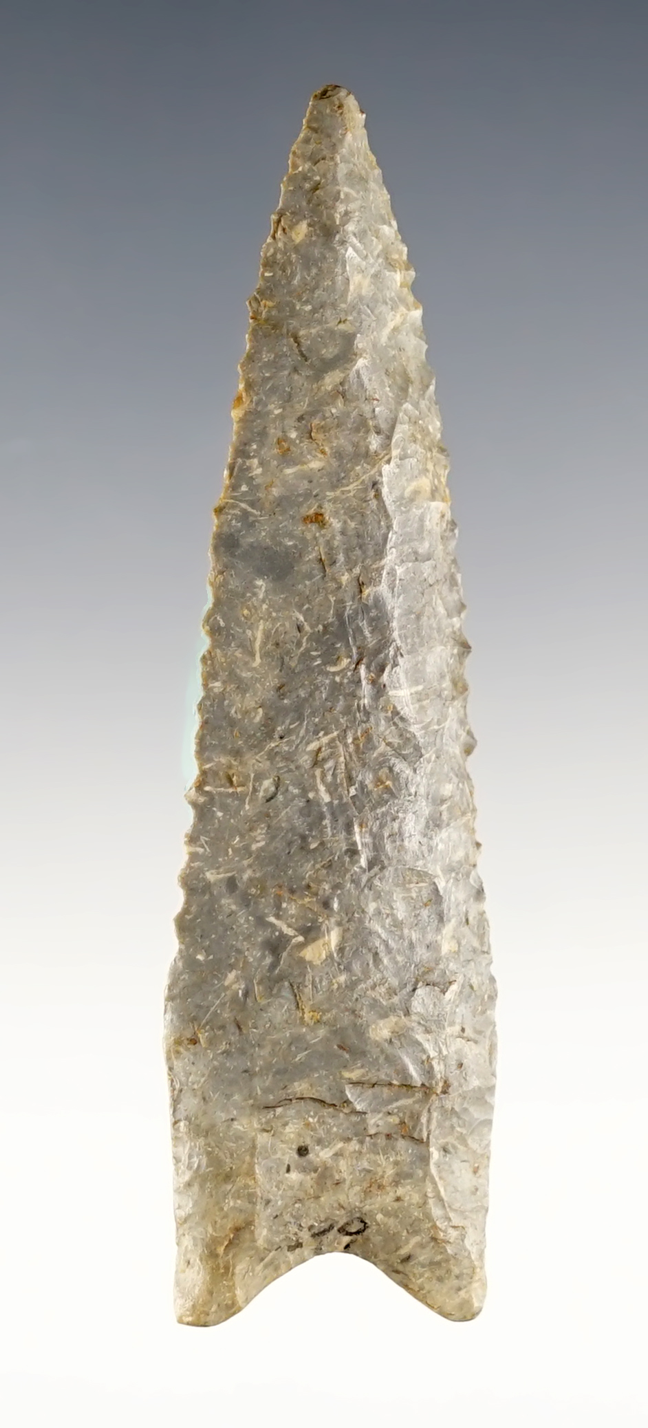 Main artifact image