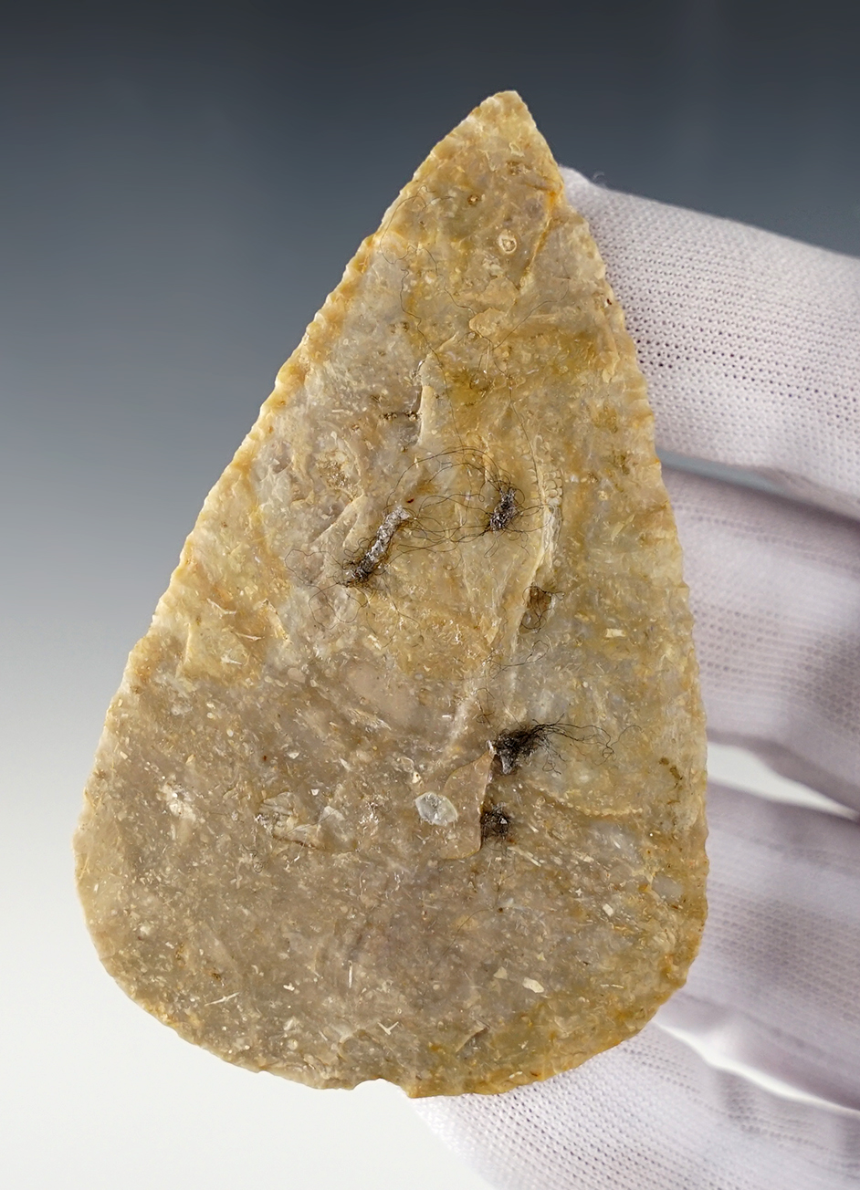 Main artifact image