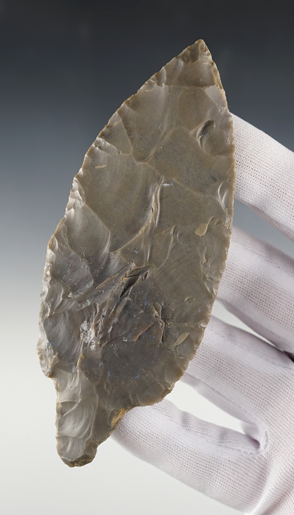 Main artifact image