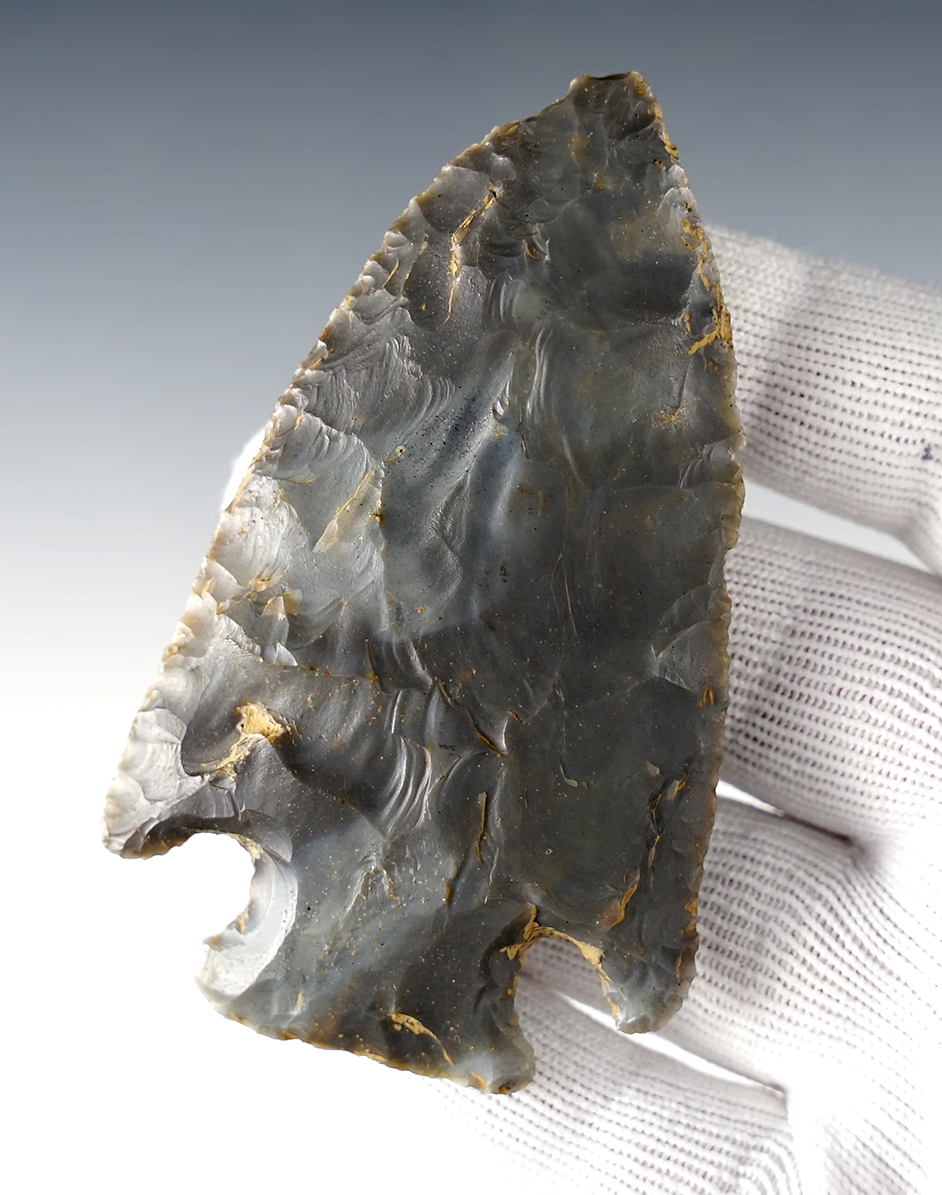 Main artifact image