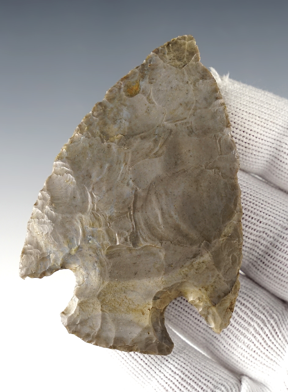 Main artifact image