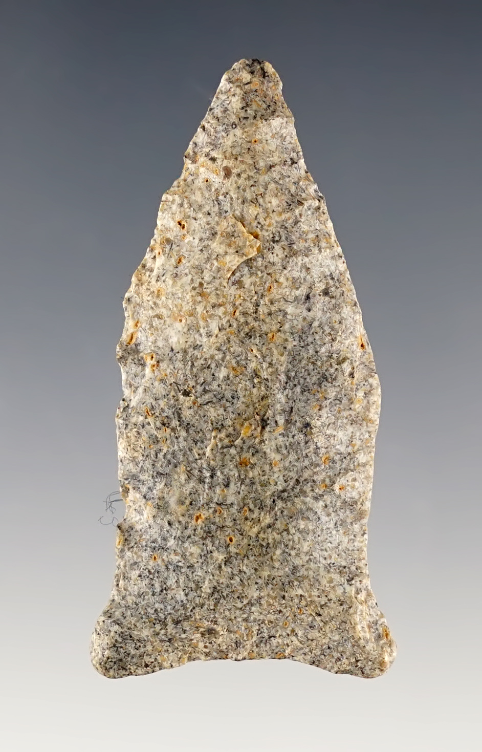 Main artifact image