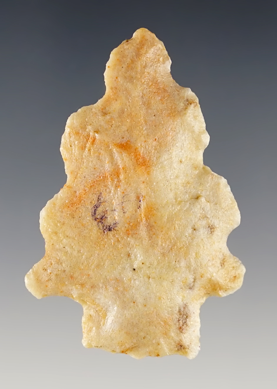 Main artifact image