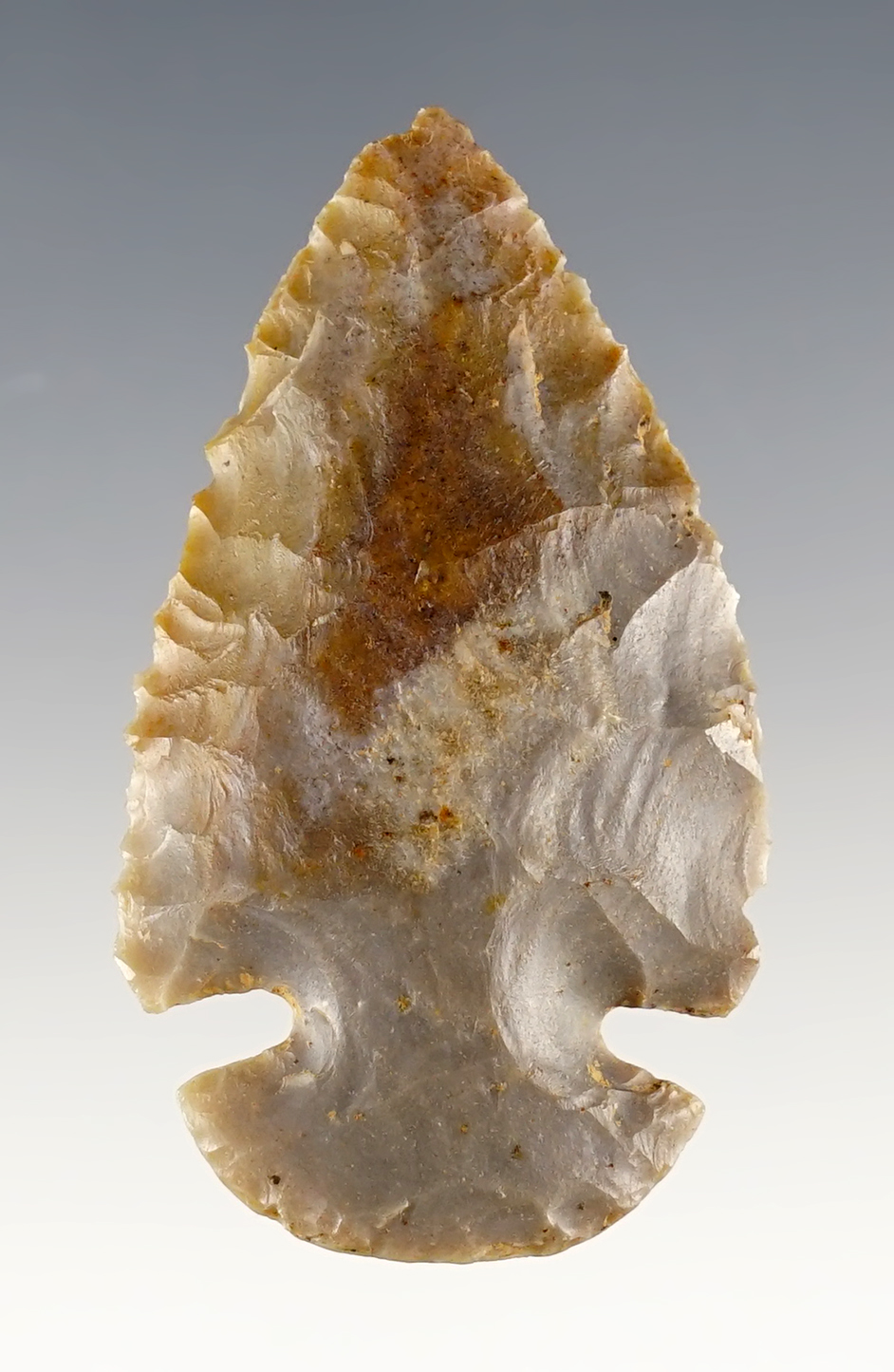 Main artifact image