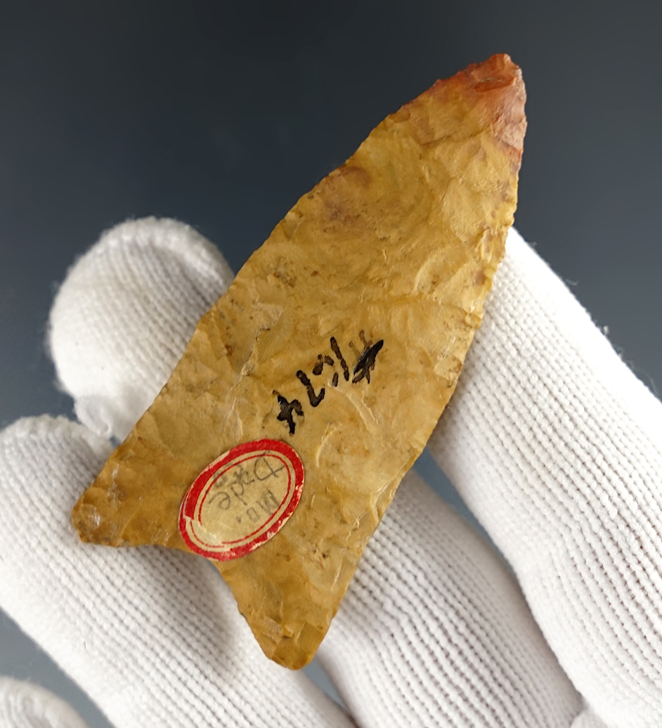 Main artifact image