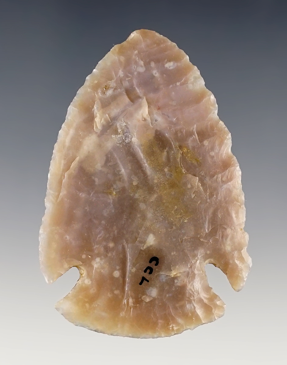 Main artifact image