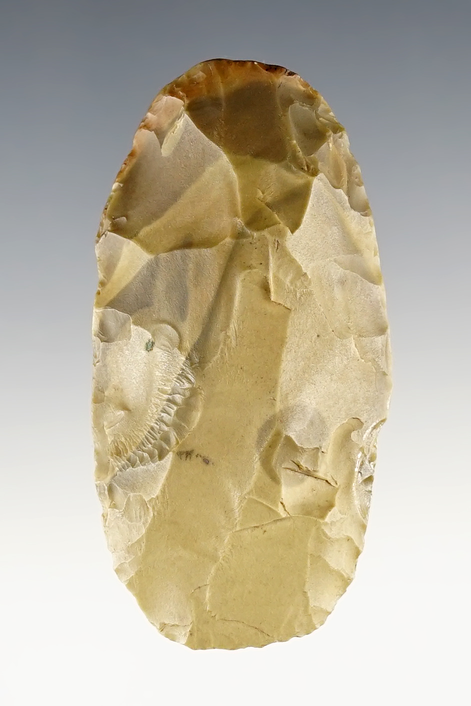 Main artifact image