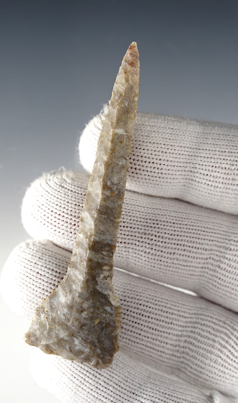 Main artifact image
