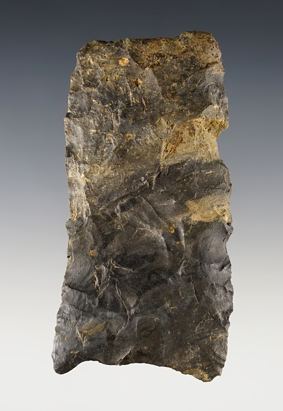 Main artifact image