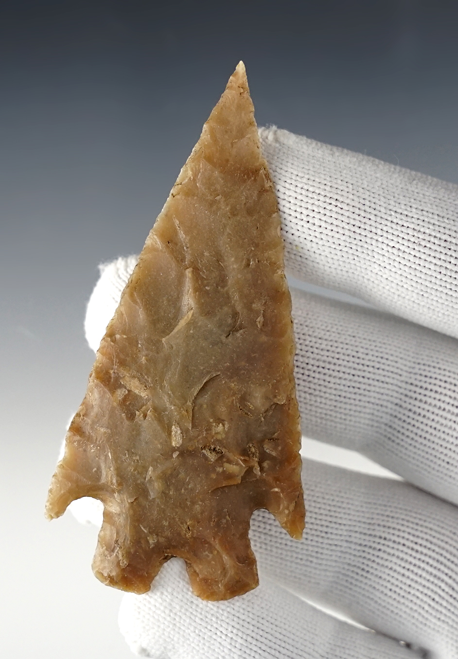 Main artifact image