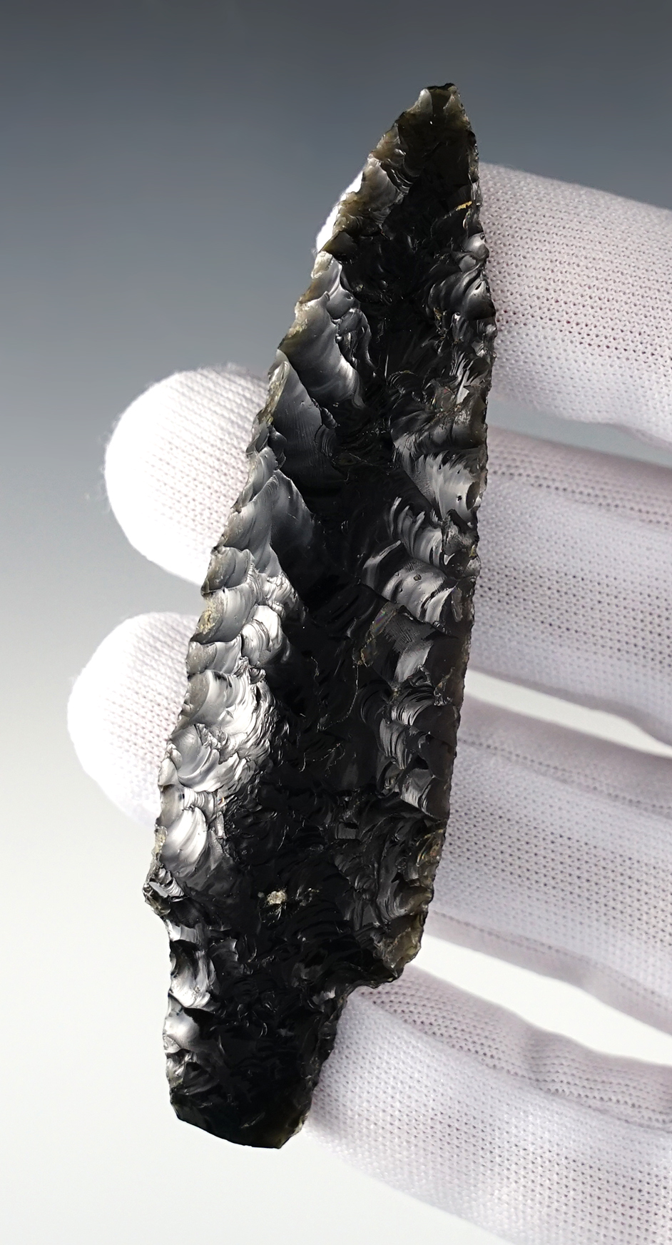 Main artifact image