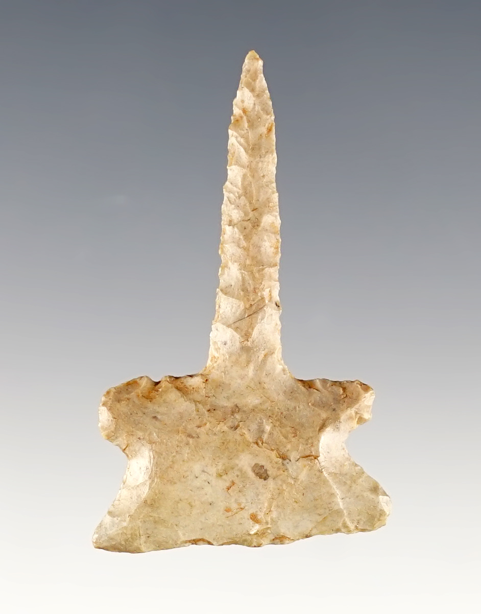 Main artifact image