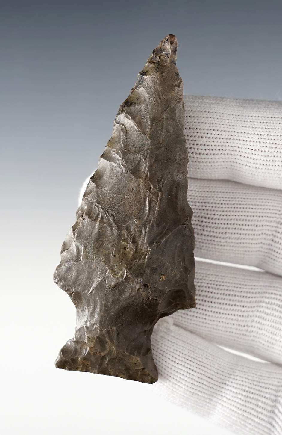 Main artifact image