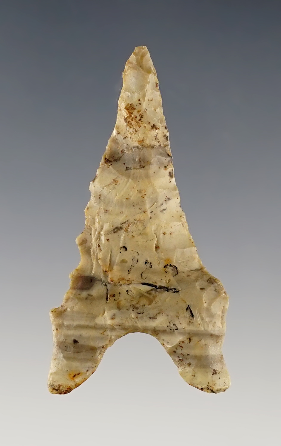 Main artifact image