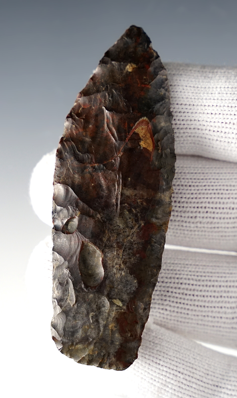 Main artifact image